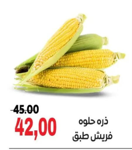 available at جلهوم ماركت in Egypt - القاهرة