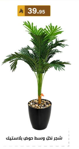 available at الحسين توب أب in مملكة العربية السعودية, السعودية, سعودية - المنطقة الشرقية