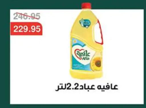 available at Abu Saleh Dairy Market in Egypt - Cairo