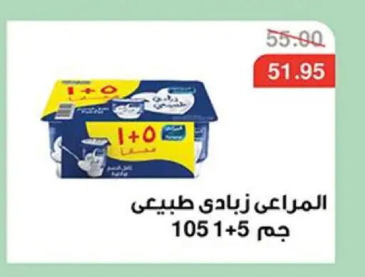 available at Abu Saleh Dairy Market in Egypt - Cairo