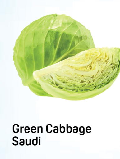 Cabbage from Saudi Arabia available at Day to Day Department Store in UAE - Dubai
