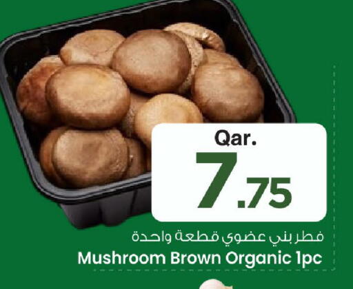 Mushroom available at Mark & Save  in Qatar - Doha