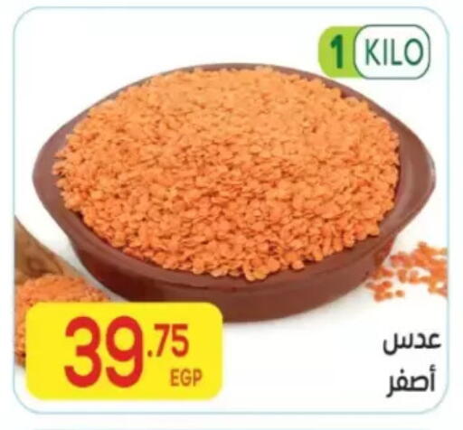available at المحلاوي ماركت in Egypt - القاهرة