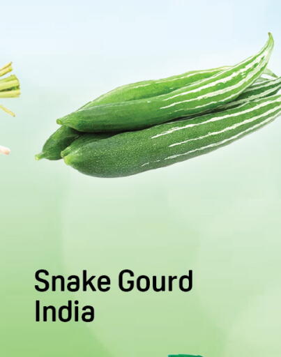 from India available at Day to Day Department Store in UAE - Dubai