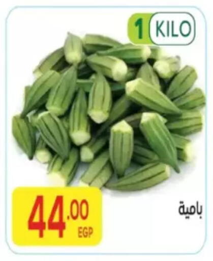 available at المحلاوي ماركت in Egypt - القاهرة