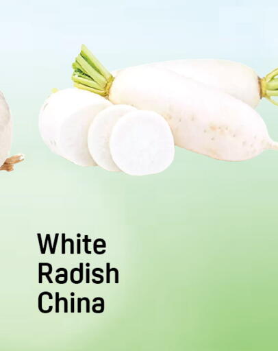 Radish from China available at Day to Day Department Store in UAE - Dubai