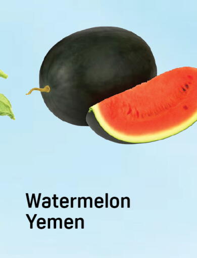 Watermelon from Yemen available at Day to Day Department Store in UAE - Dubai