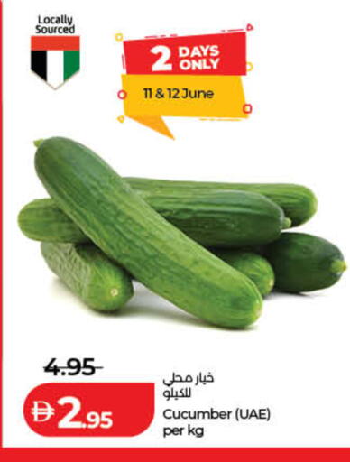 Cucumber available at Lulu Hypermarket in UAE - Fujairah