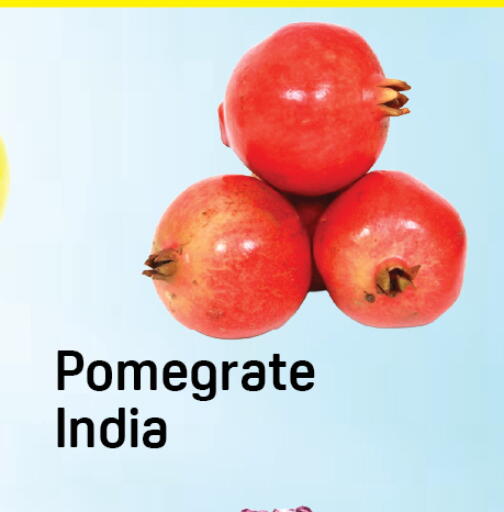 from India available at Day to Day Department Store in UAE - Dubai