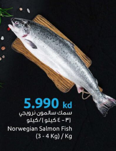 available at مركز سلطان in الكويت - مدينة الكويت