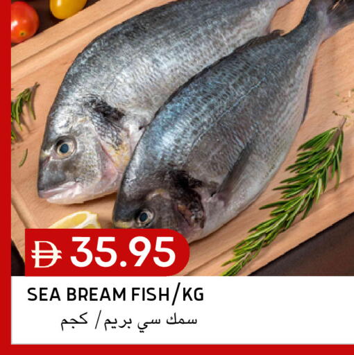 available at Select Market in UAE - Abu Dhabi