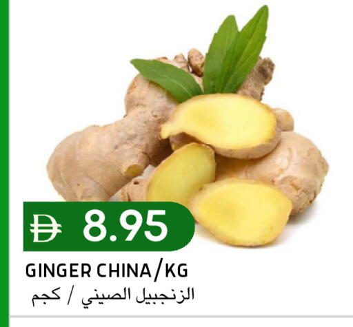 Ginger from China available at Select Market in UAE - Abu Dhabi