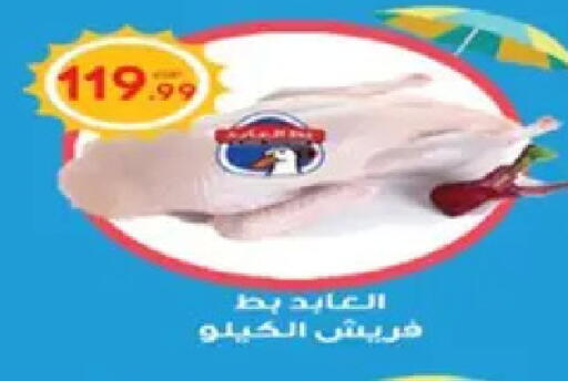 available at أولاد المحاوى in Egypt - القاهرة