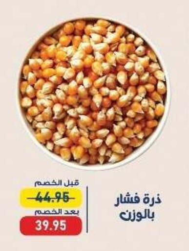 available at Exception Market in Egypt - Cairo