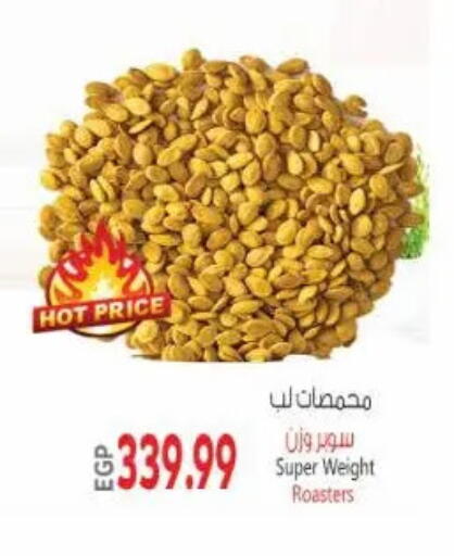 available at New.Penny.market in Egypt - Cairo