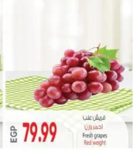 Grapes available at New.Penny.market in Egypt - Cairo