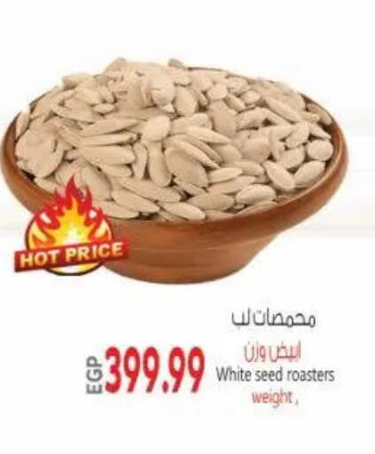 available at New.Penny.market in Egypt - Cairo