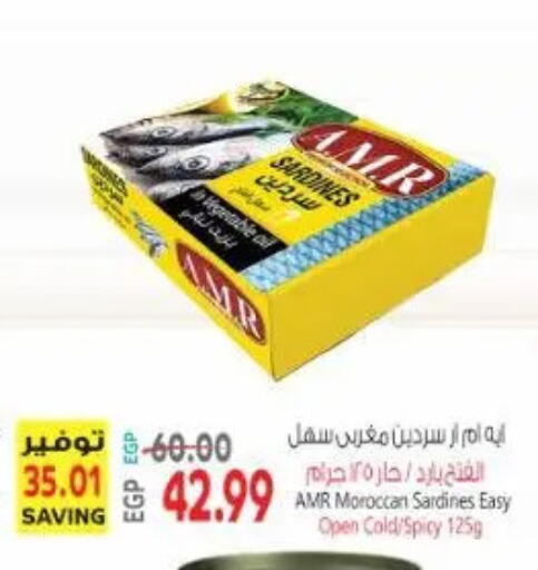 available at New.Penny.market in Egypt - Cairo