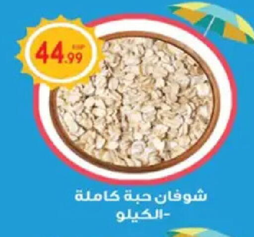 available at أولاد المحاوى in Egypt - القاهرة