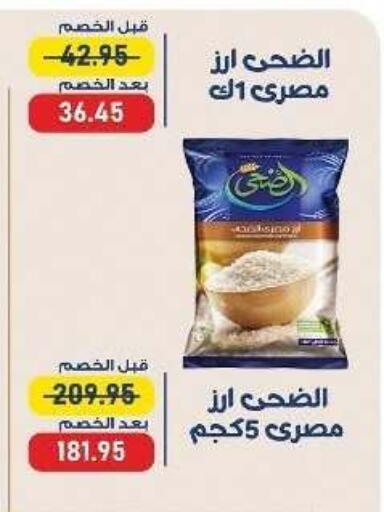 available at Exception Market in Egypt - Cairo