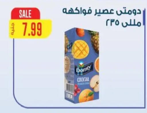 available at New.Penny.market in Egypt - Cairo
