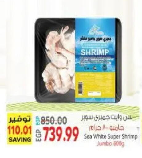 available at New.Penny.market in Egypt - Cairo