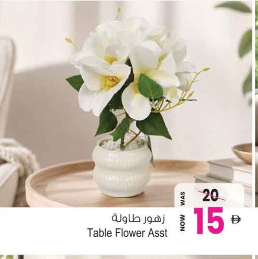 available at أنصار جاليري in الإمارات العربية المتحدة , الامارات - دبي