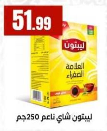 available at المحلاوي ستورز in Egypt - القاهرة