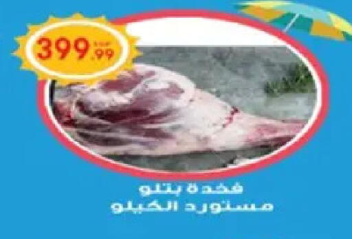 available at أولاد المحاوى in Egypt - القاهرة