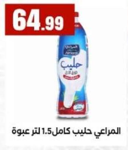 available at المحلاوي ستورز in Egypt - القاهرة