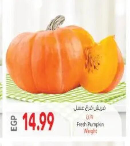 Pumpkin available at New.Penny.market in Egypt - Cairo