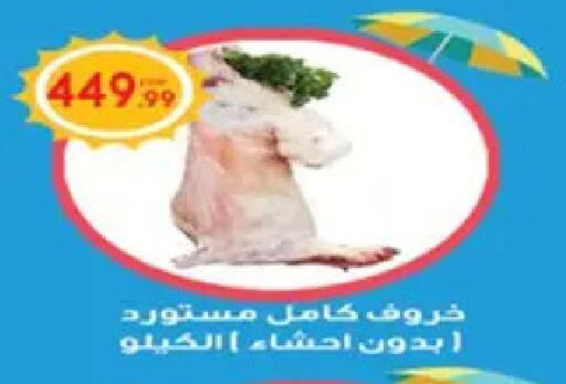 available at أولاد المحاوى in Egypt - القاهرة
