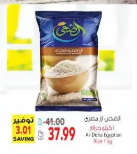 available at New.Penny.market in Egypt - Cairo
