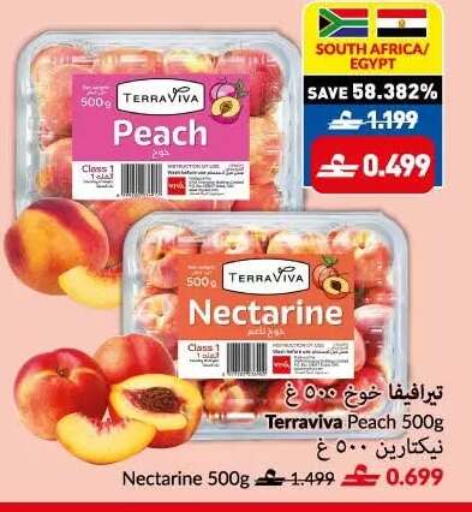 Peach Nectarine from South Africa Egypt available at VIVA Supermarket in Oman - Sohar