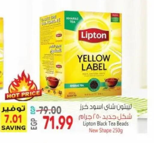 available at New.Penny.market in Egypt - Cairo
