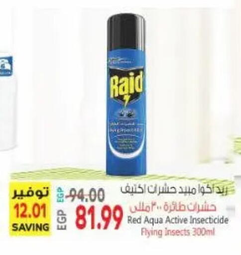 available at New.Penny.market in Egypt - Cairo