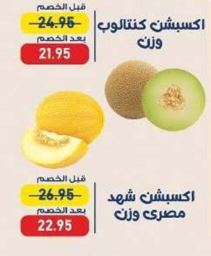 available at اكسبشن ماركت in Egypt - القاهرة