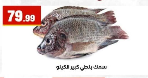available at مارت فيل in Egypt - القاهرة