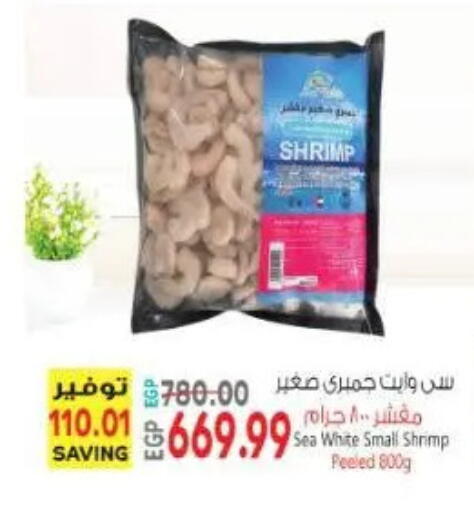 available at New.Penny.market in Egypt - Cairo