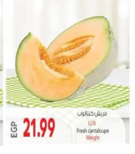 Cantaloupe available at New.Penny.market in Egypt - Cairo