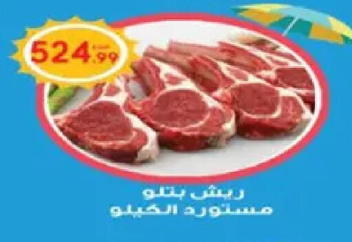 available at أولاد المحاوى in Egypt - القاهرة