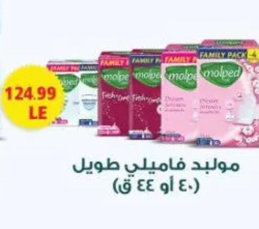 available at ماركت بني الجديد in Egypt - القاهرة