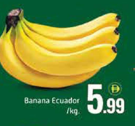 Banana Mango from Ecuador available at Mango Hypermarket LLC in UAE - Dubai