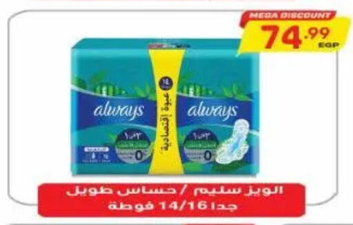 available at New.Penny.market in Egypt - Cairo