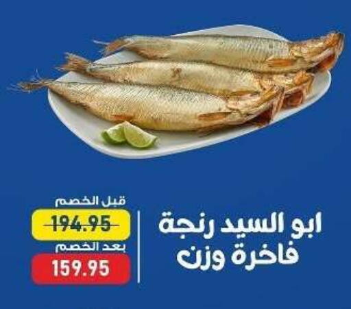 available at Exception Market in Egypt - Cairo