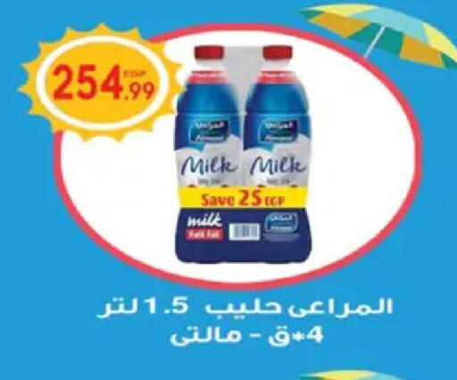 available at أولاد المحاوى in Egypt - القاهرة