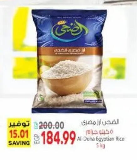 available at New.Penny.market in Egypt - Cairo