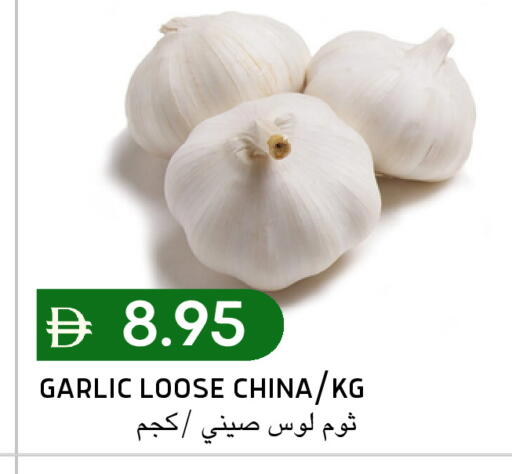 Garlic from China available at Select Market in UAE - Abu Dhabi