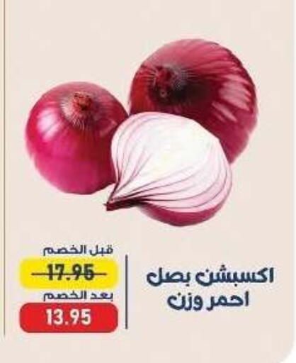 available at Exception Market in Egypt - Cairo