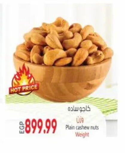 available at New.Penny.market in Egypt - Cairo